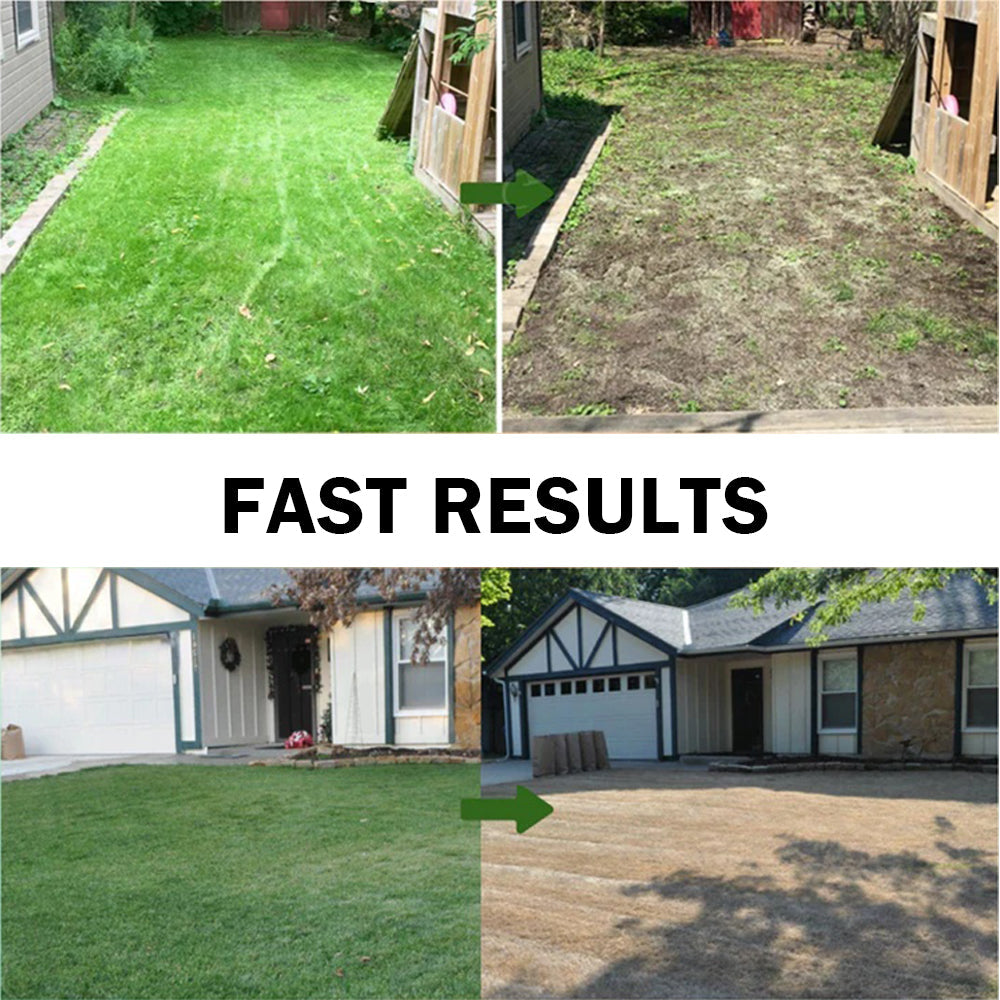 🏆Official Store | 🔥Hot Sale- 50%OFF🌿 | AAFQ® 2 in 1 Max Power Herbicide