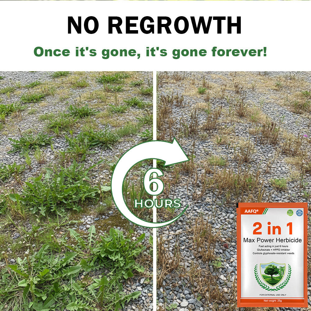 🏆Official Store | 🔥Hot Sale- 50%OFF🌿 | AAFQ® 2 in 1 Max Power Herbicide