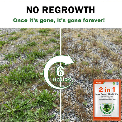 🏆Official Store | 🔥Hot Sale- 50%OFF🌿 | AAFQ® 2 in 1 Max Power Herbicide