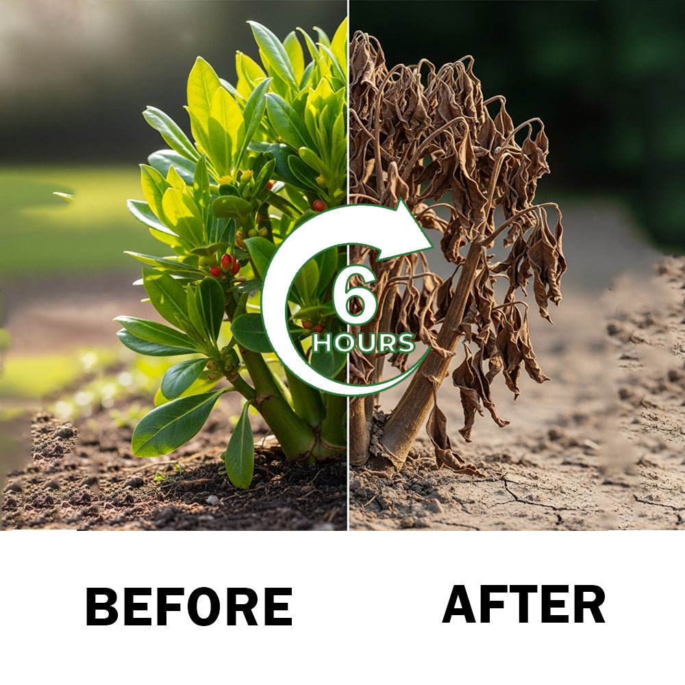 🏆Official Store | 🔥Hot Sale- 50%OFF🌿 | AAFQ® 2 in 1 Max Power Herbicide