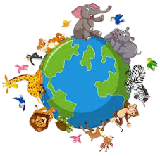 Support Animal Rescue: Your Generosity Makes A Difference!💖🐨🦉🐶