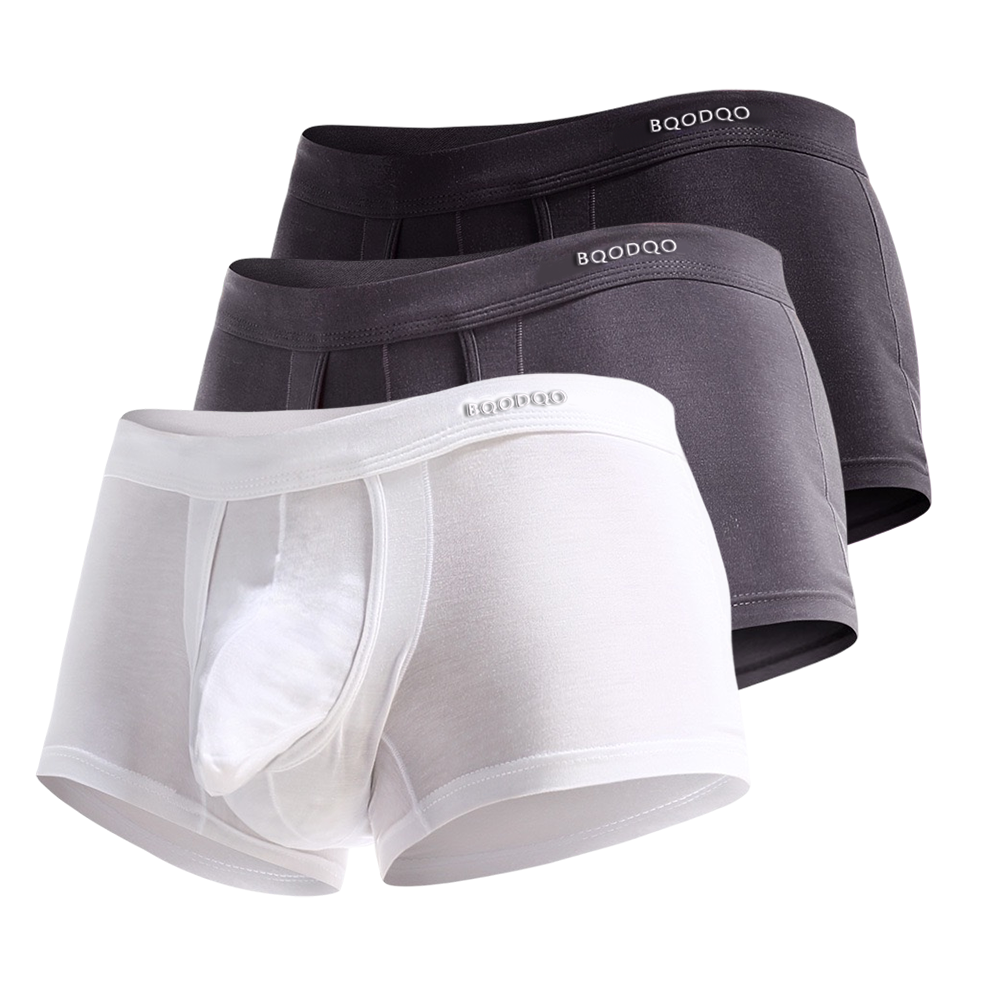 BQODQO®︎ |✪MAXXER Class A Antibacterial Modal Dual Pouch Boxer Briefs with V Fly